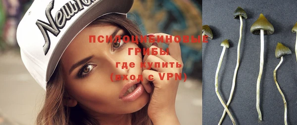экстази Богданович