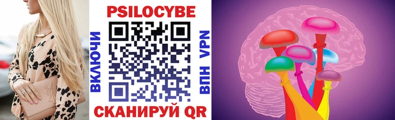 Псилоцибиновые грибы Psilocybe  Купить  Лобня 